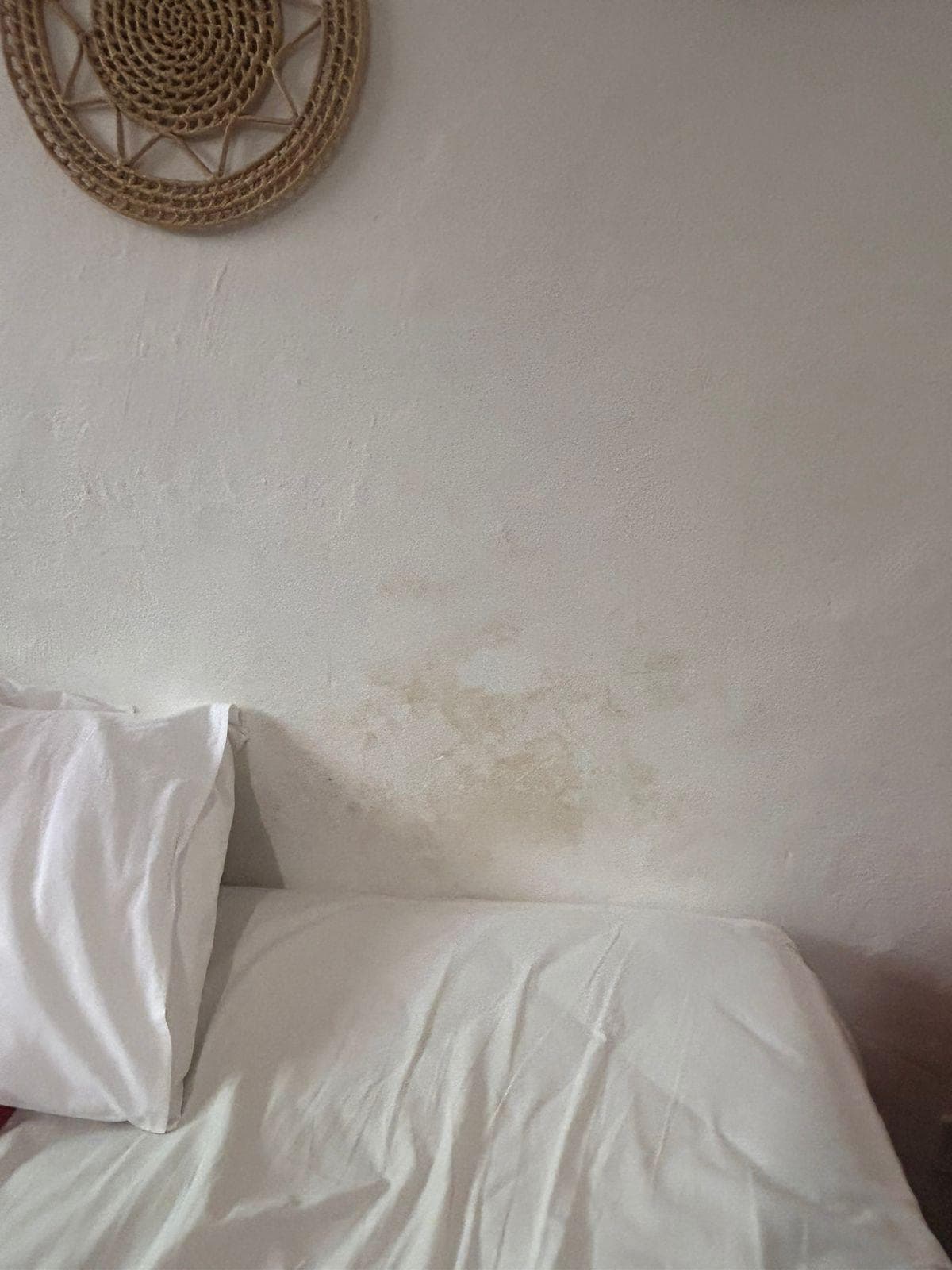 Mofo na "cabeceira da cama"