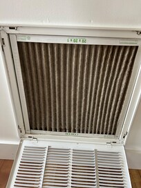 Wet dirty air filter.