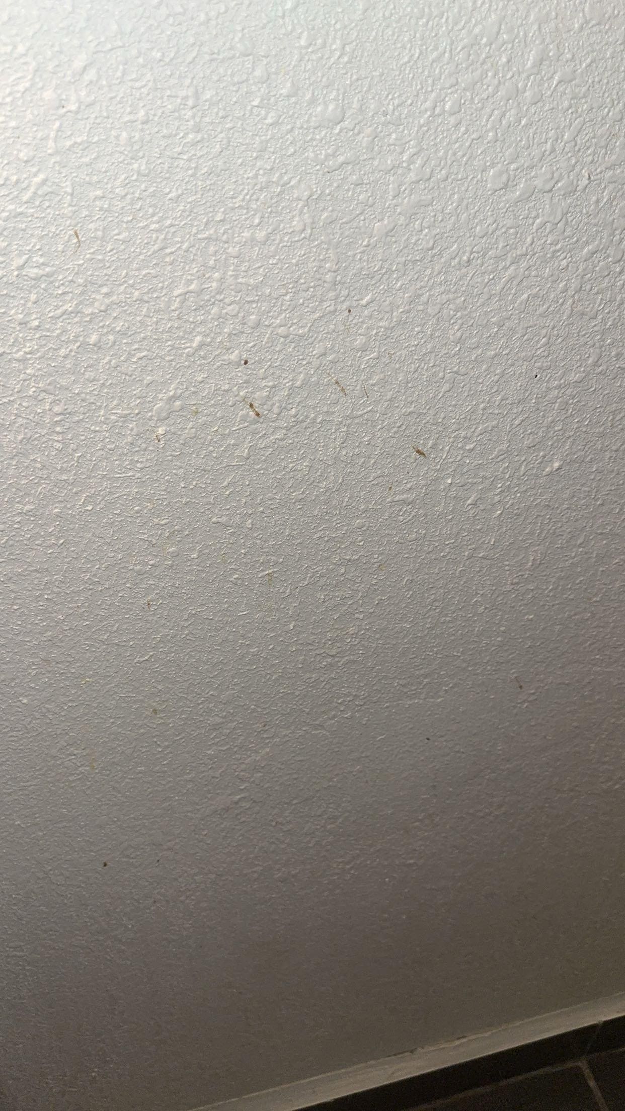 Stains on the wall 
