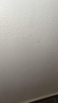 Stains on the wall