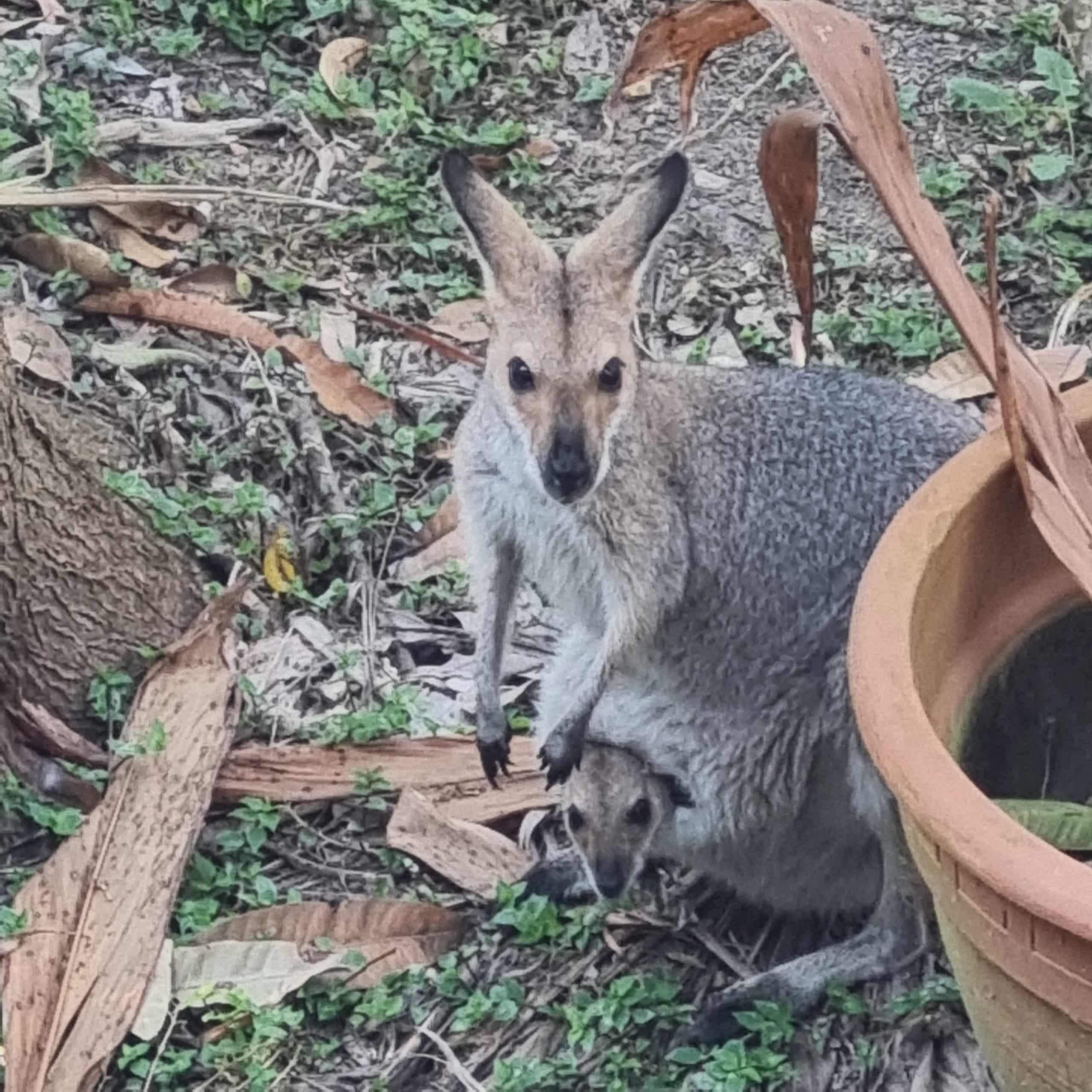 Our breakfast guests