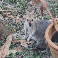 Our breakfast guests