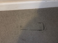 carpet
