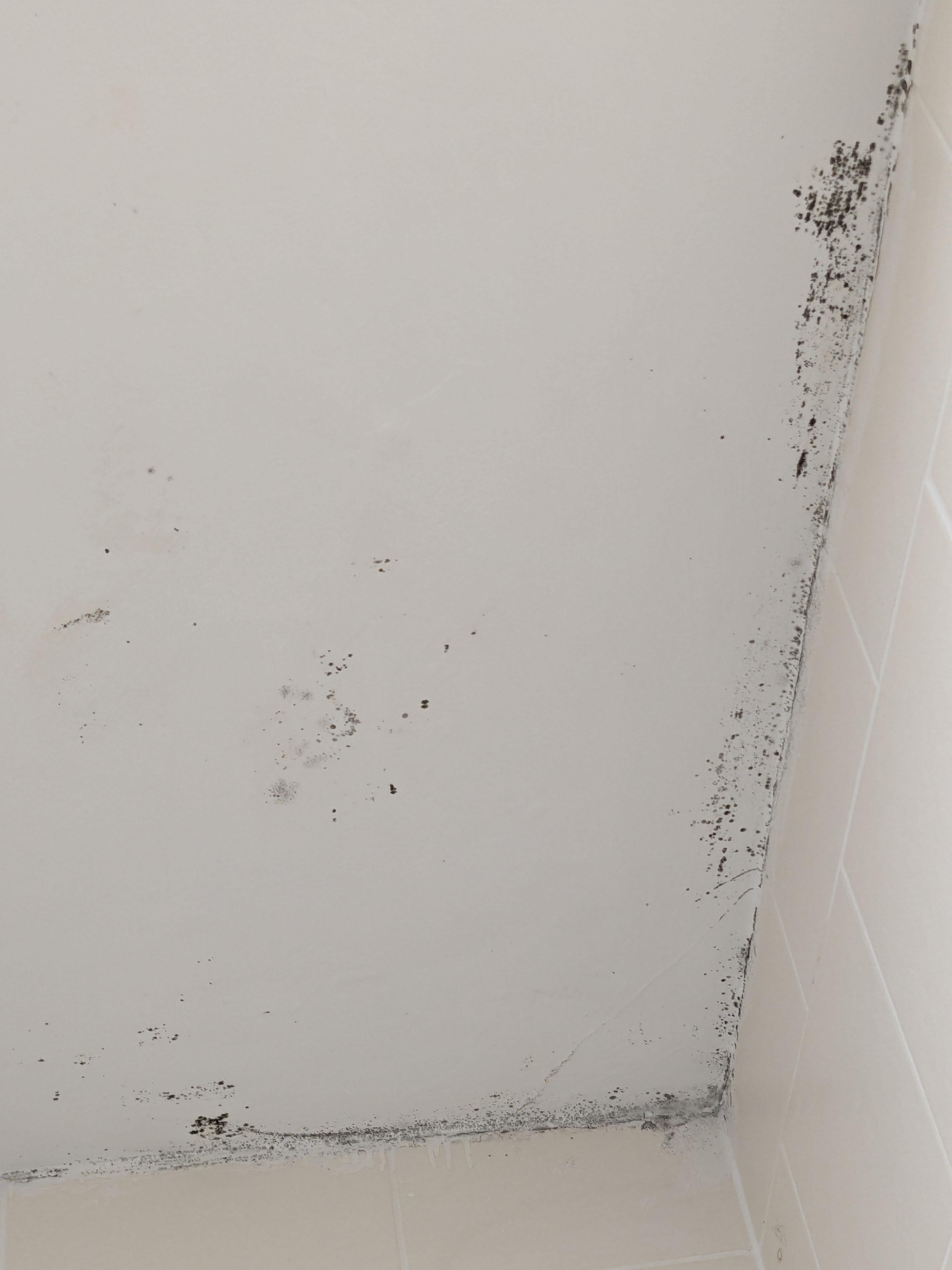 Mold in the bathroom
