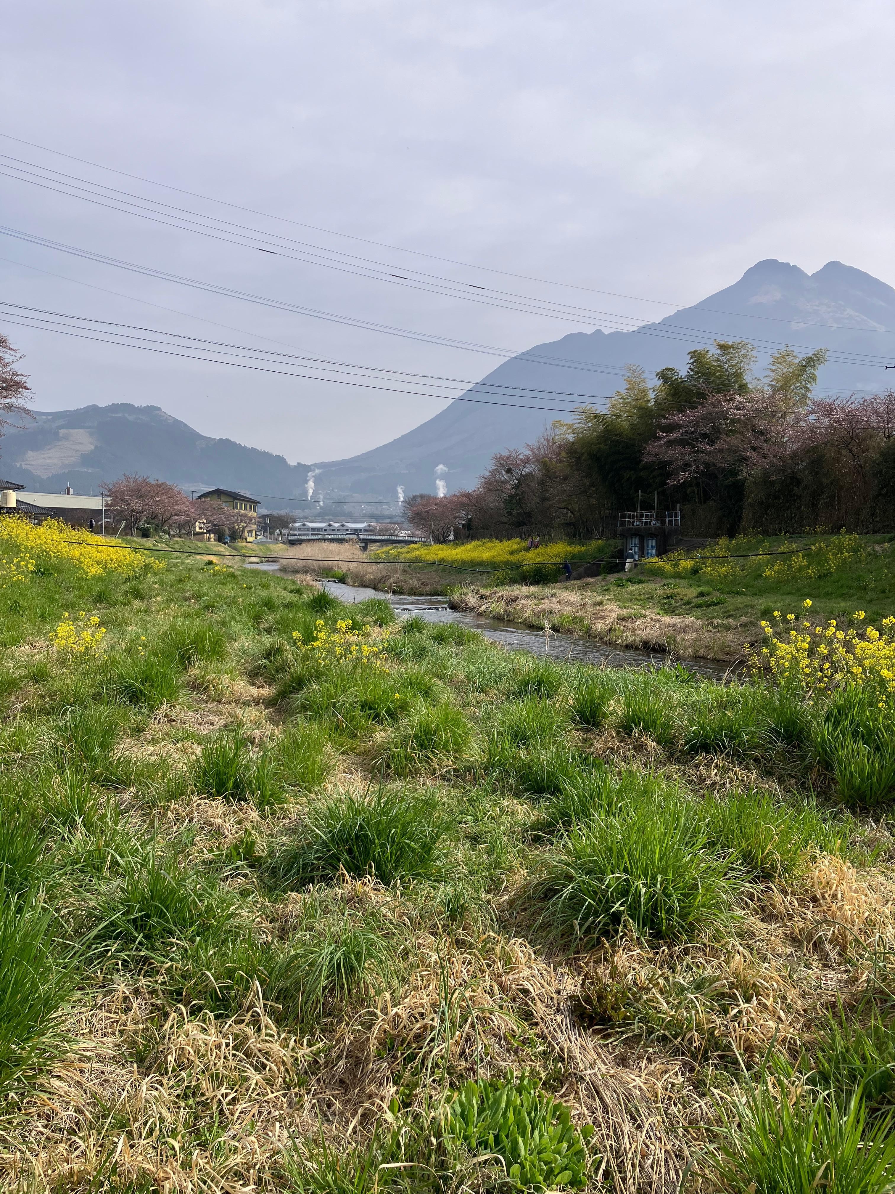 ペンション前の河川敷と由布岳