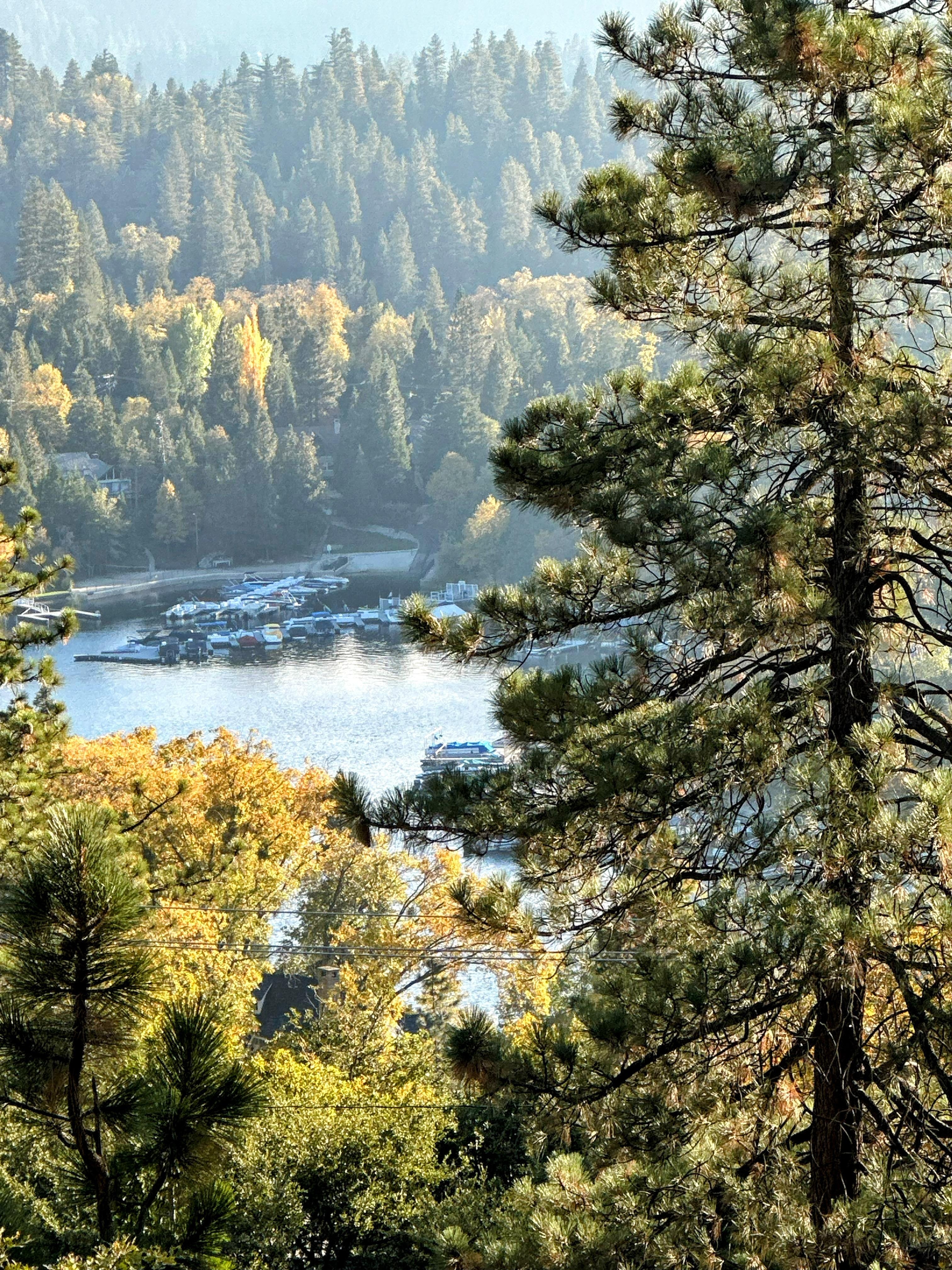 Top deck view of the lake