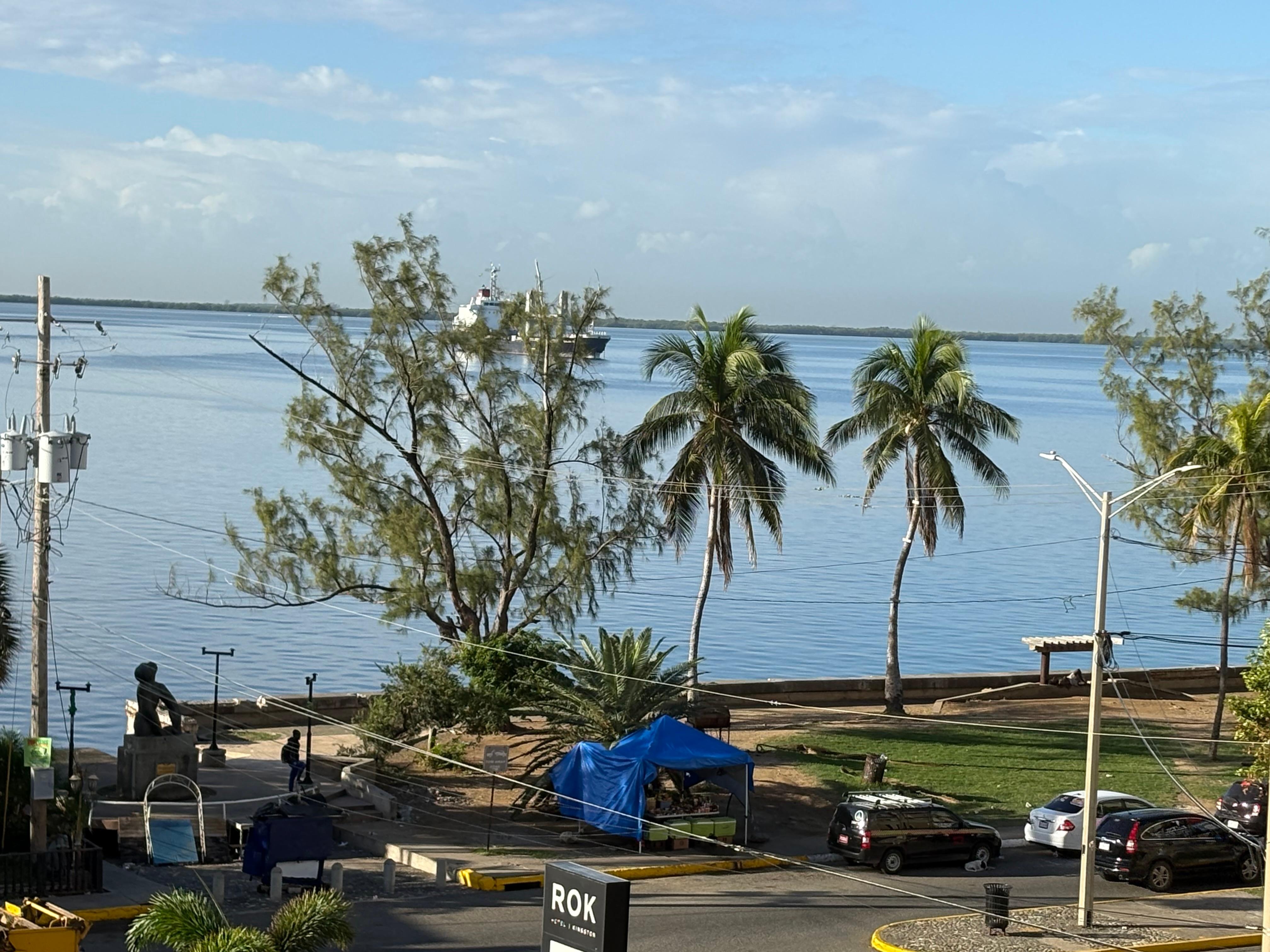 View outside my window. 