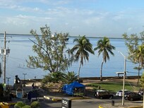 View outside my window.