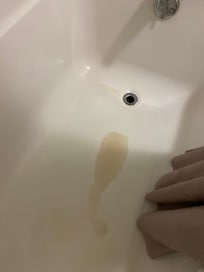 Urine in bathtub