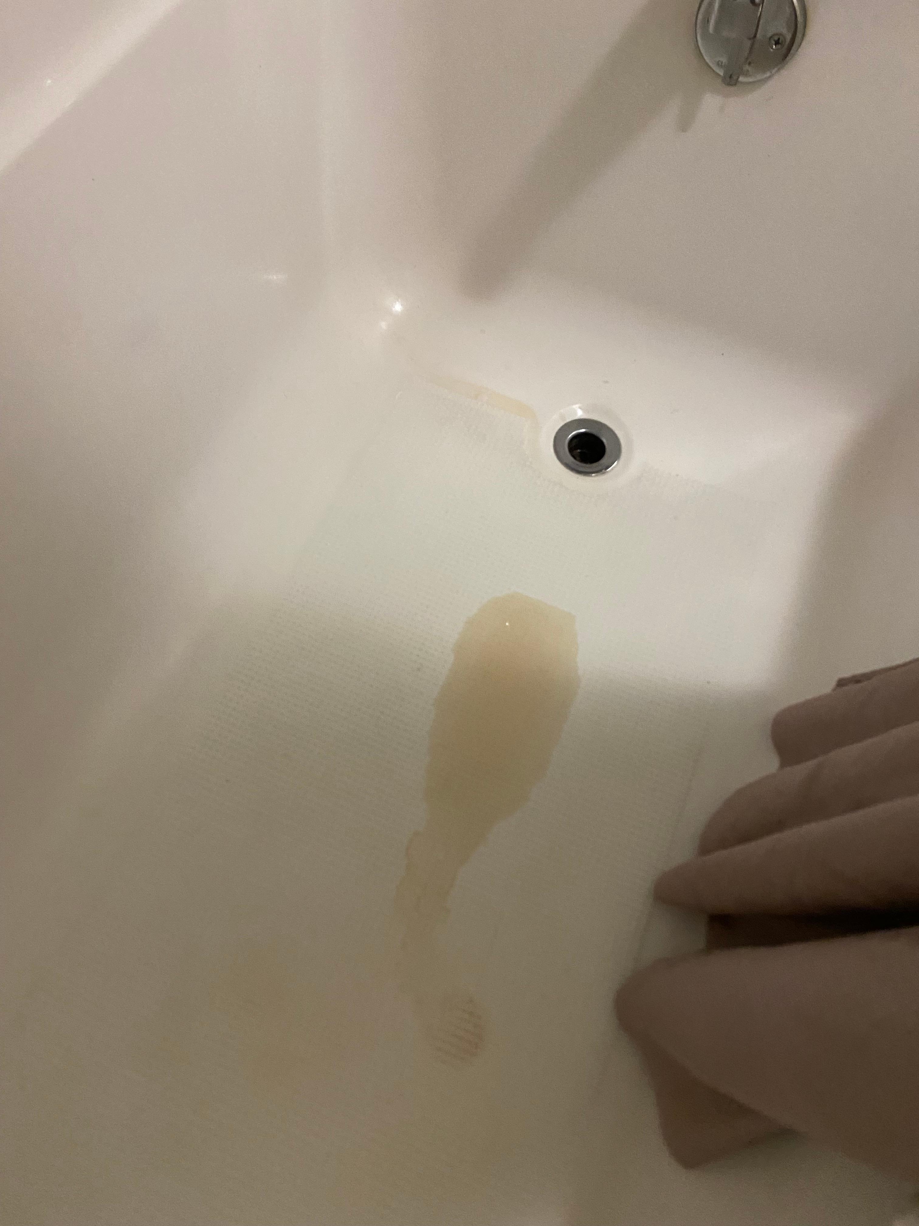 Urine in bathtub