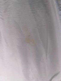 stains on sheets