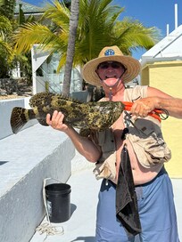 Goliath Grouper caught from the dock! Also caught keep size Hogfish and Mutton Snappers. Tarpon were there but didn't fish for them.