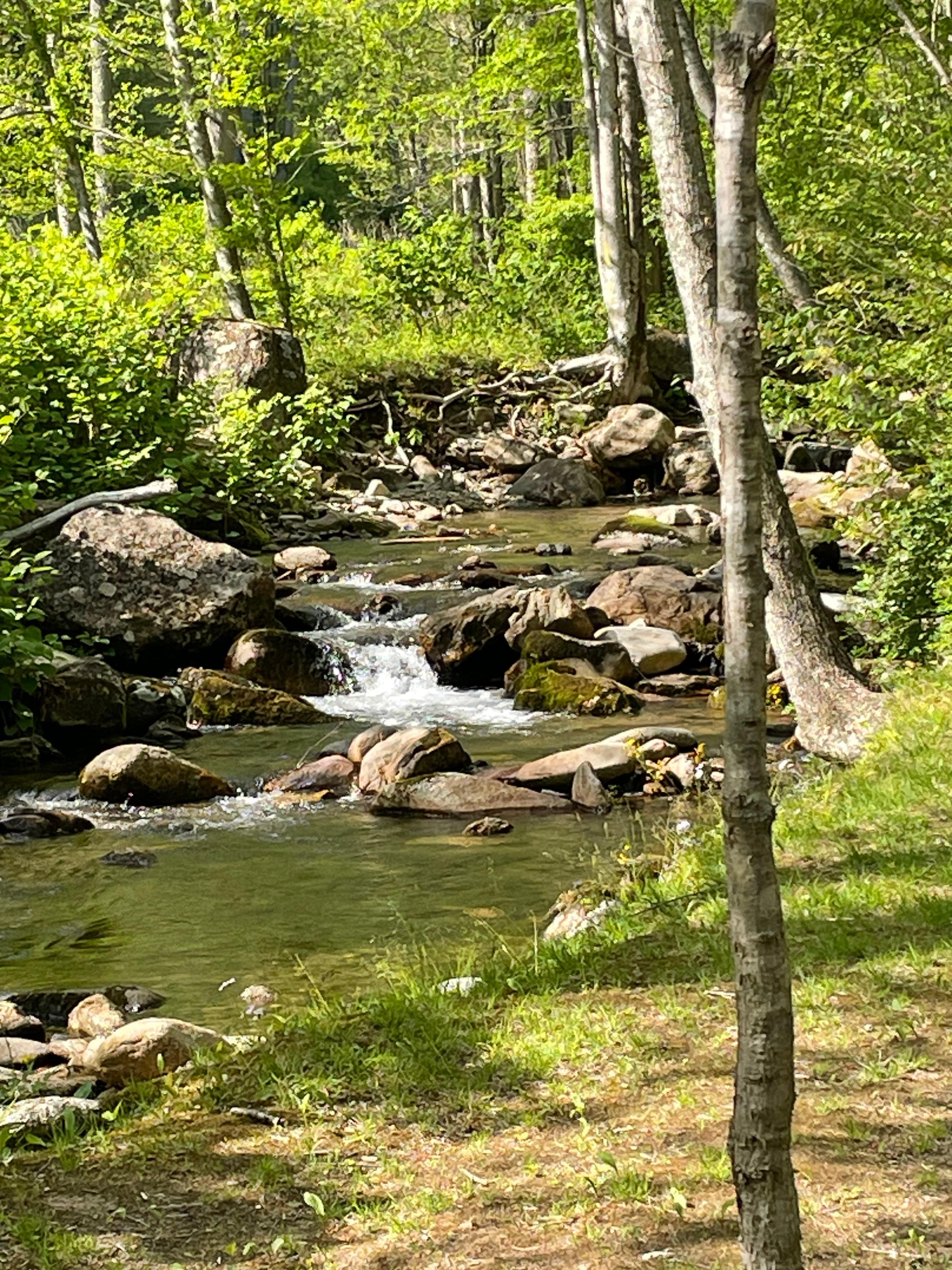 Peaceful creek.