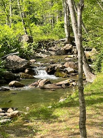 Peaceful creek.