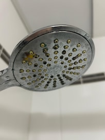 Dirty shower head, easily removed