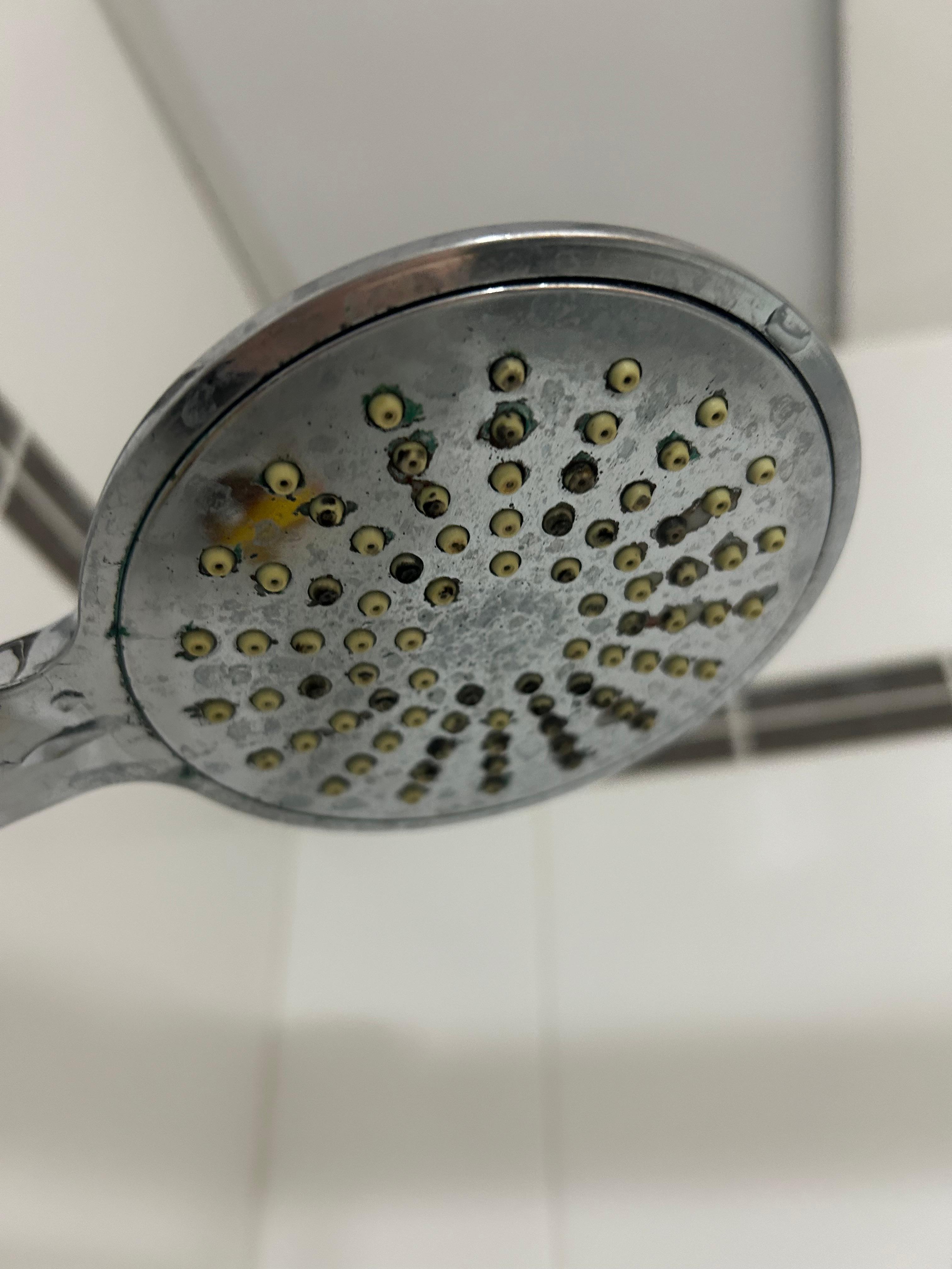 Dirty shower head, easily removed 