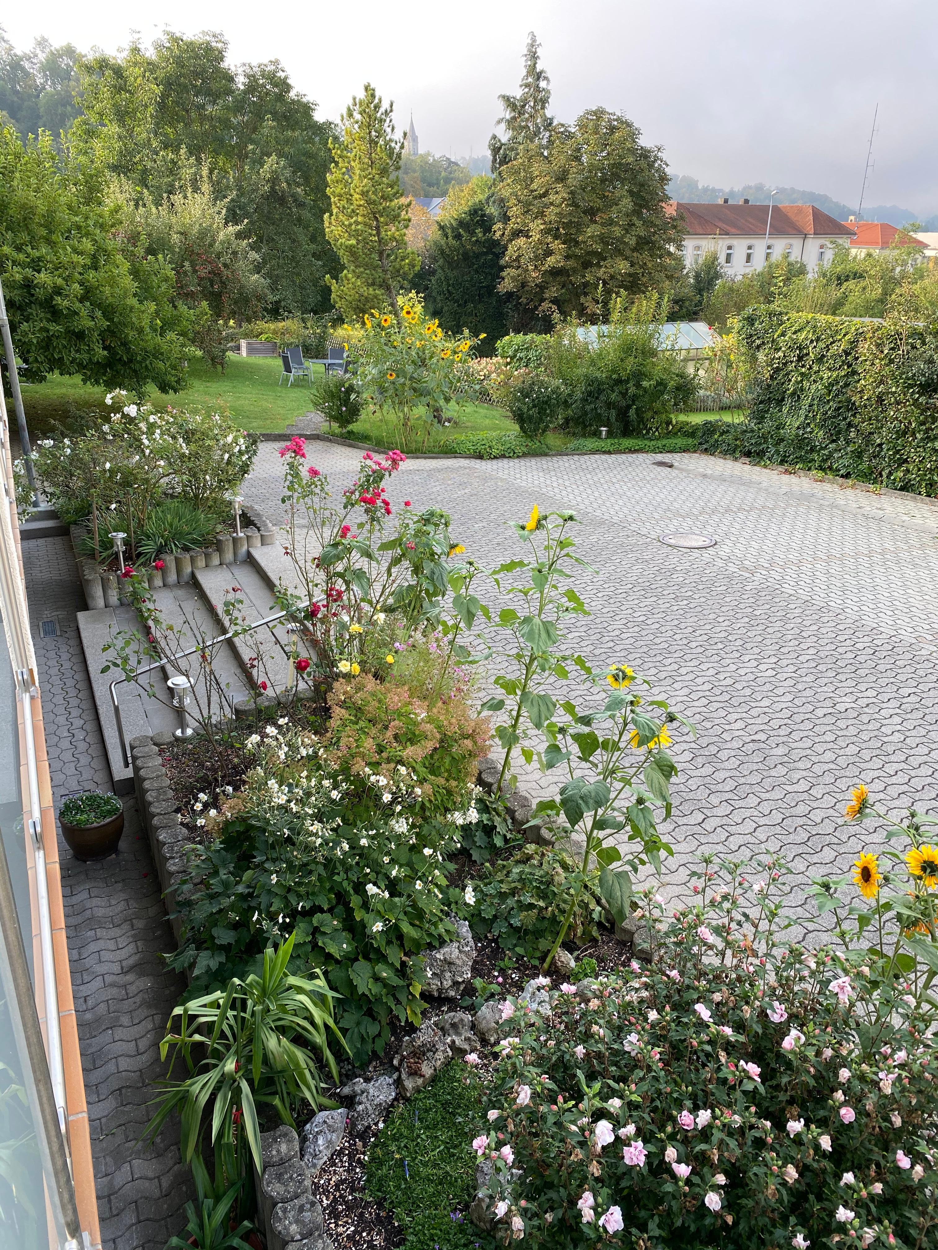 Le parking et le jardin