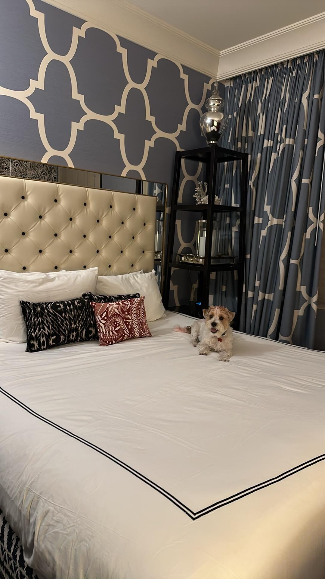 Settling in after a long day of traveling.