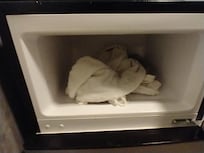 Wet towels in the freezer that didn't work