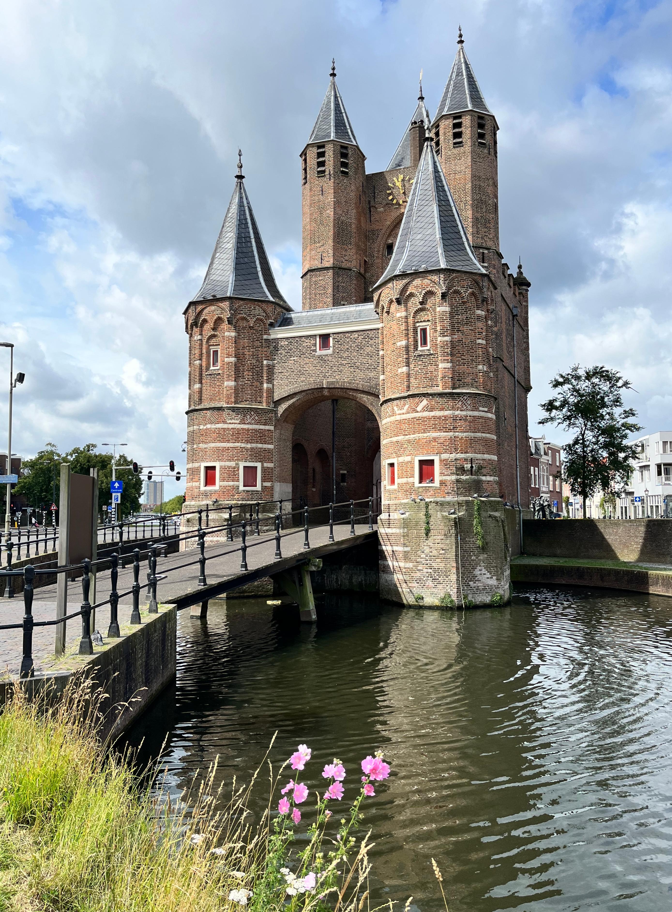 Haarlem city gates