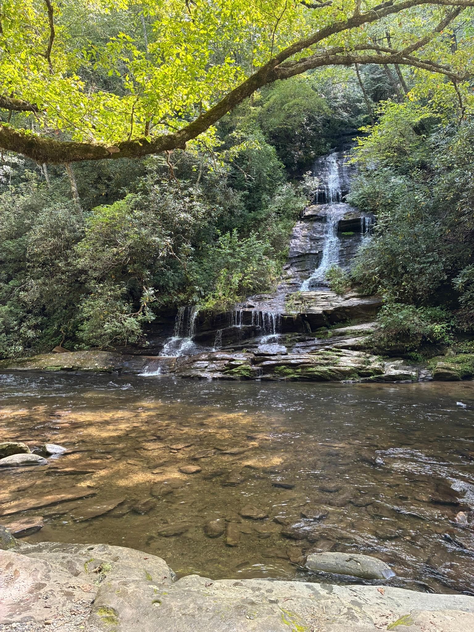 Tom's Branch Falls, an easy walk up the Deep Creek trail! Don't miss it! 