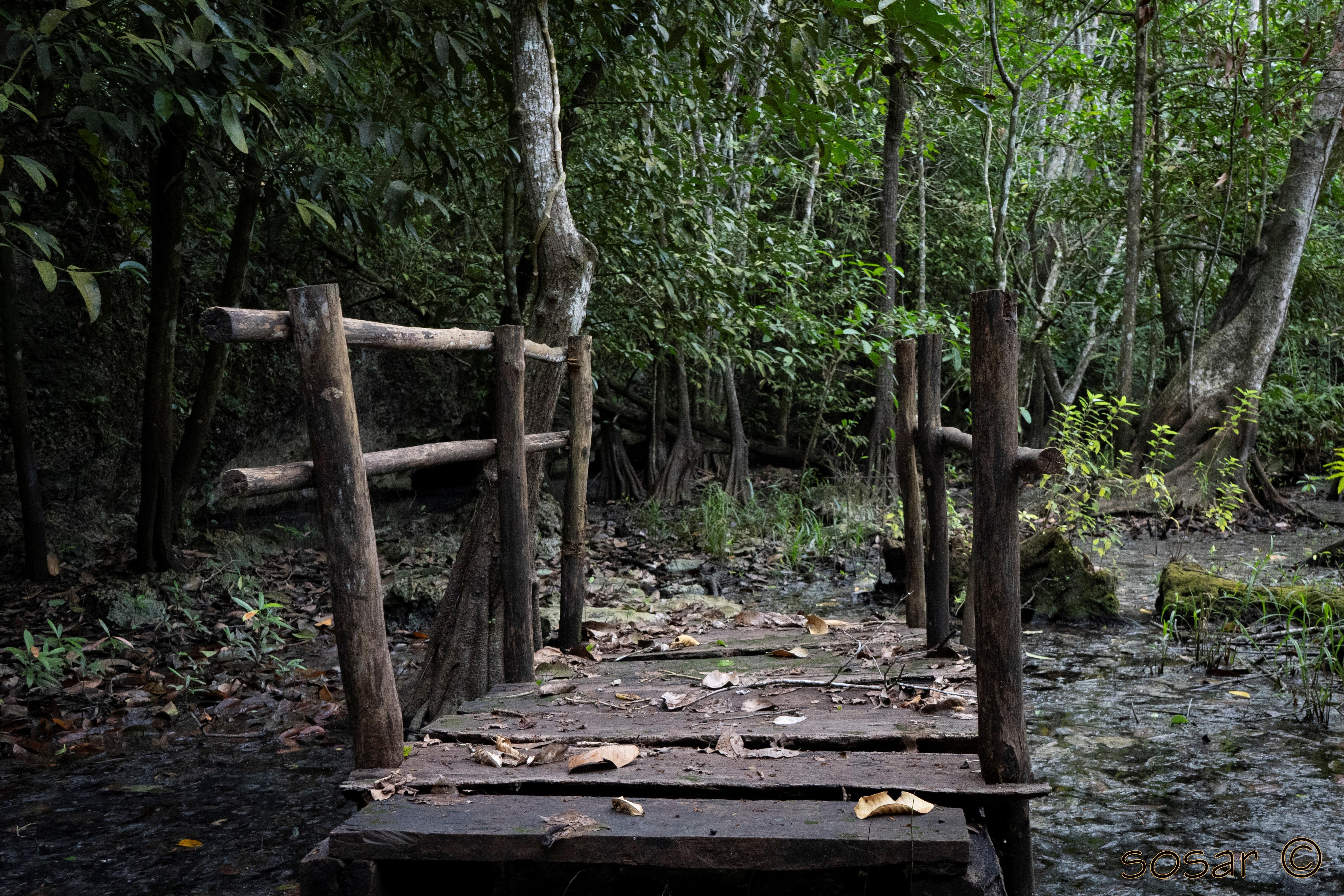 Cenote - lago, aún cuando está en construcción, es un lugar muy mágico.
