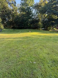 Huge yard for the dogs!