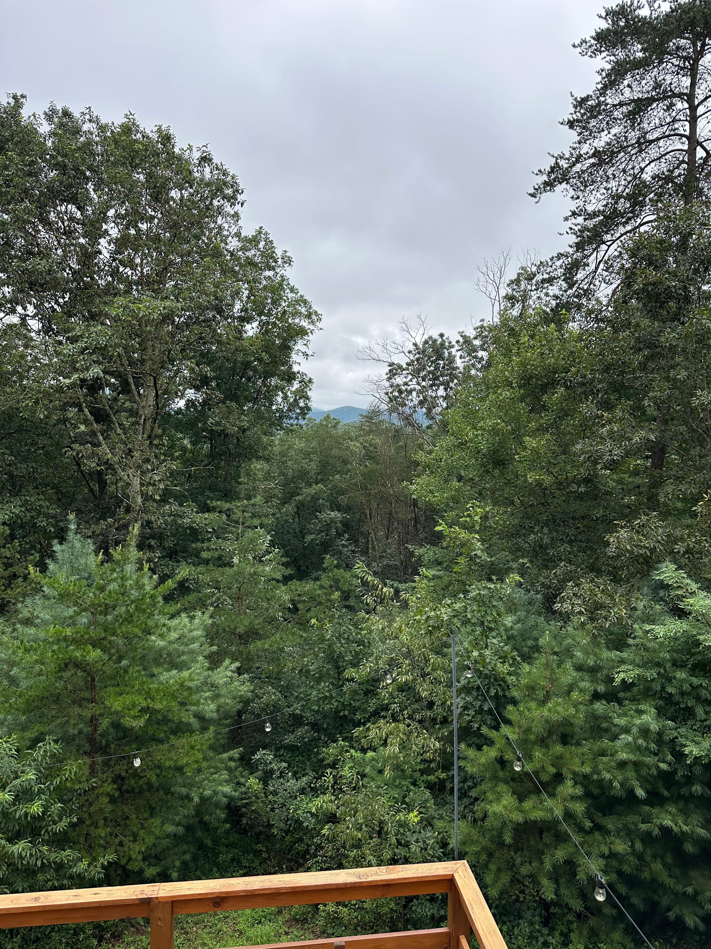 View from upper deck