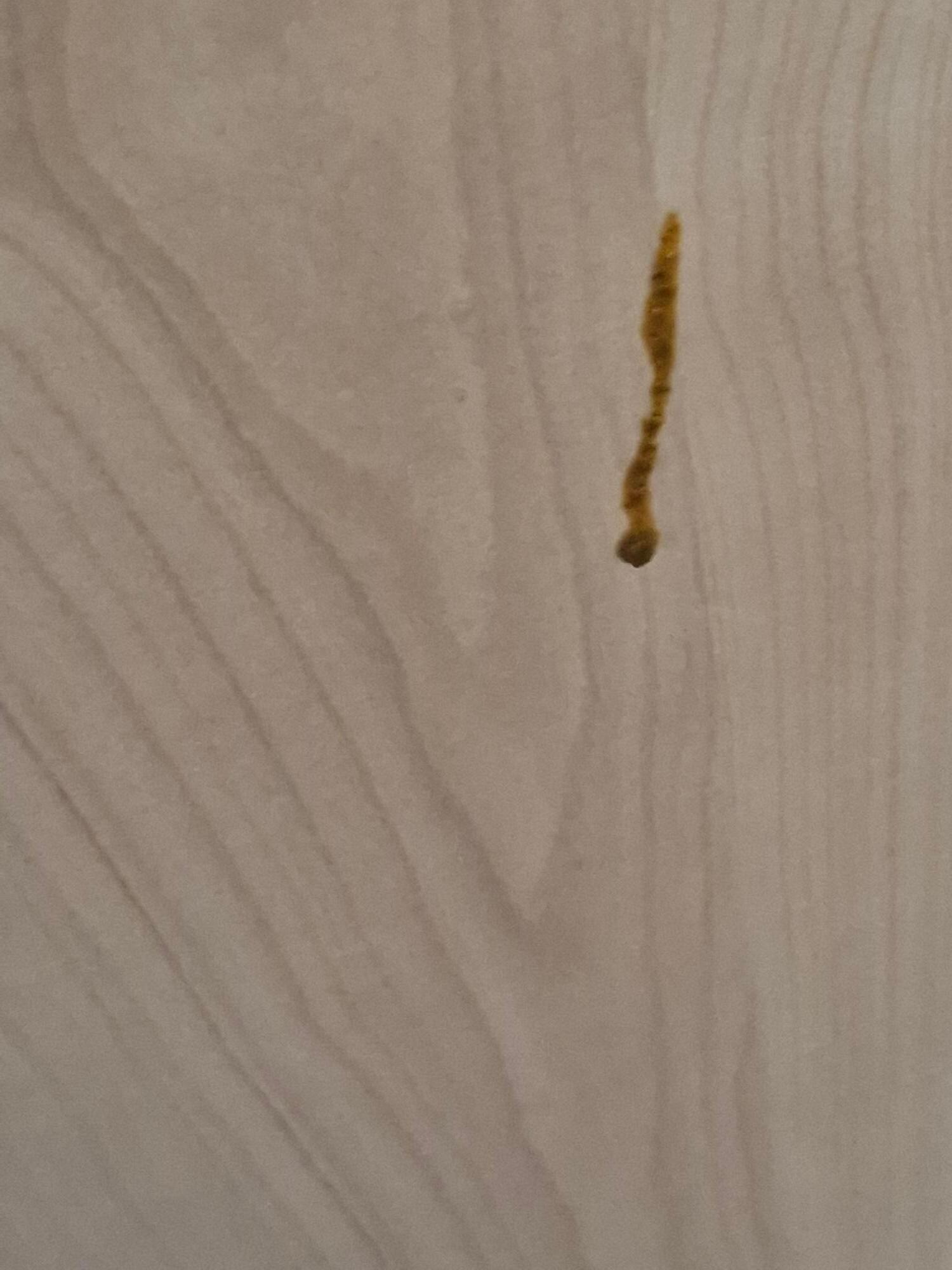 Food stain on the cupboard
