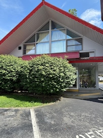 bushes overgrown creating safety concern