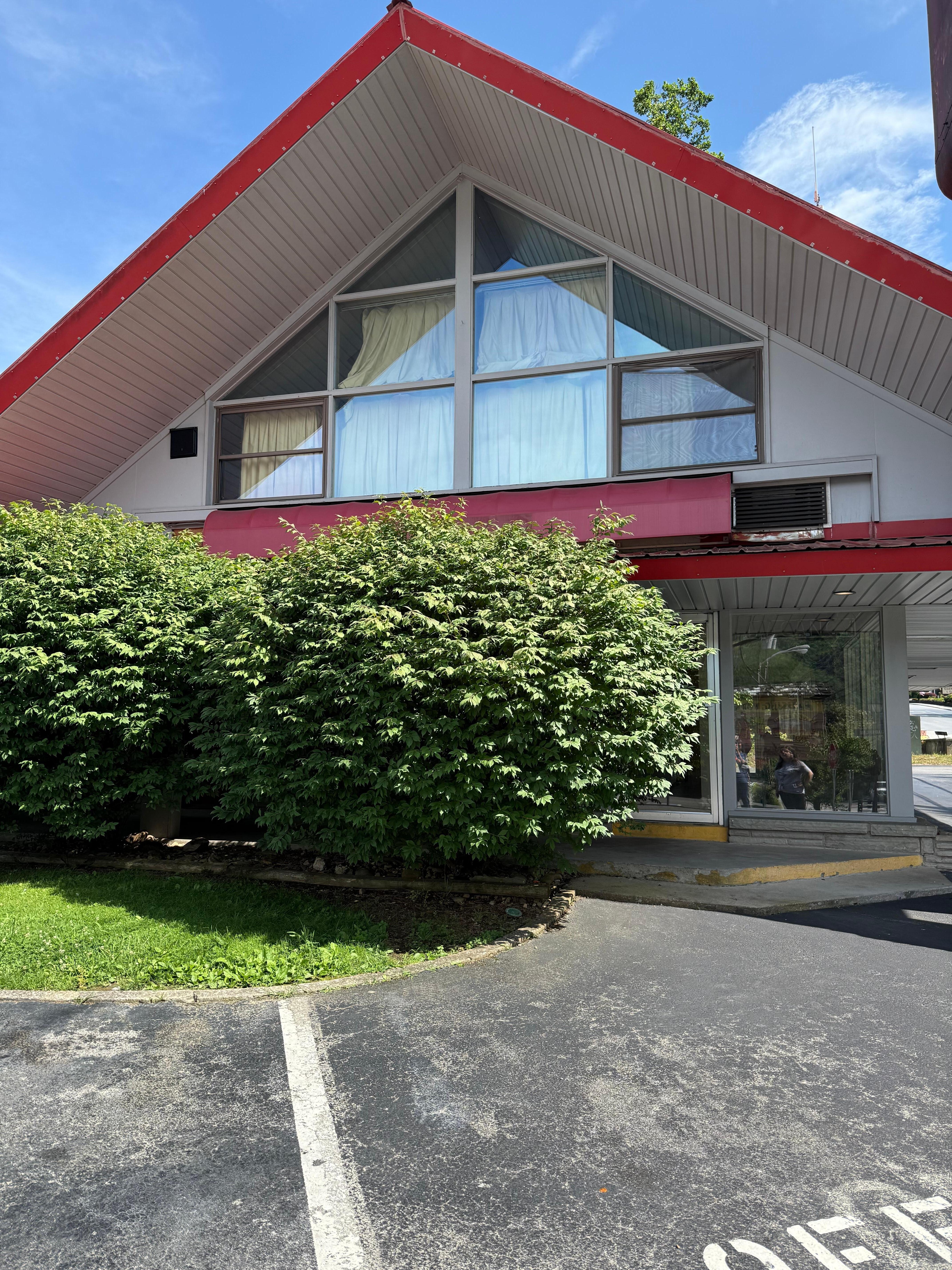 bushes overgrown creating safety concern