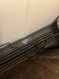 Mold