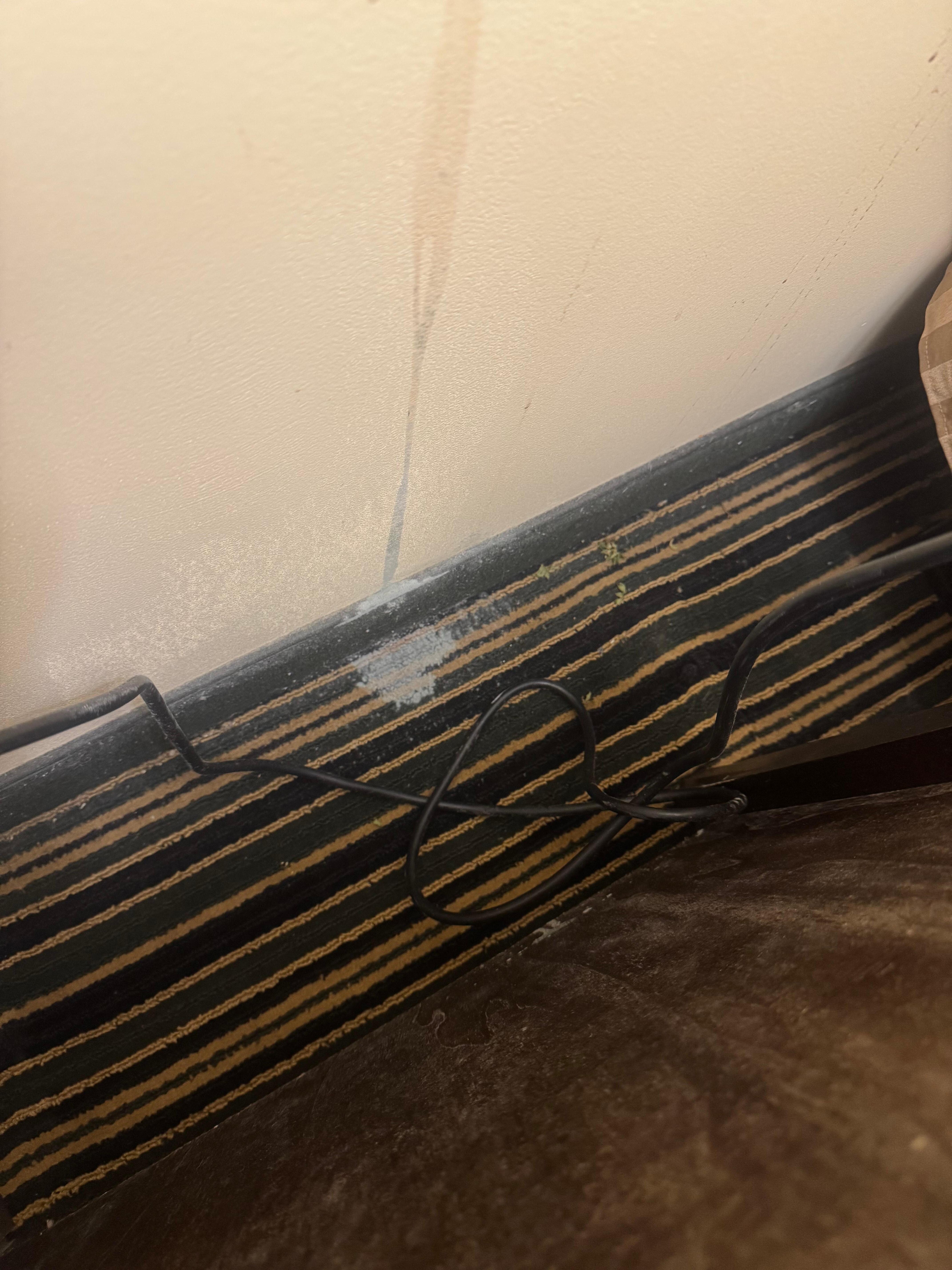 Mold 