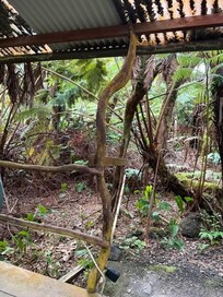 The landscaping around the hot tub has not been kept up, and is unsafe to walk on