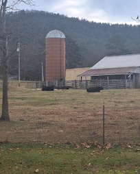 Outside the kitchen window.