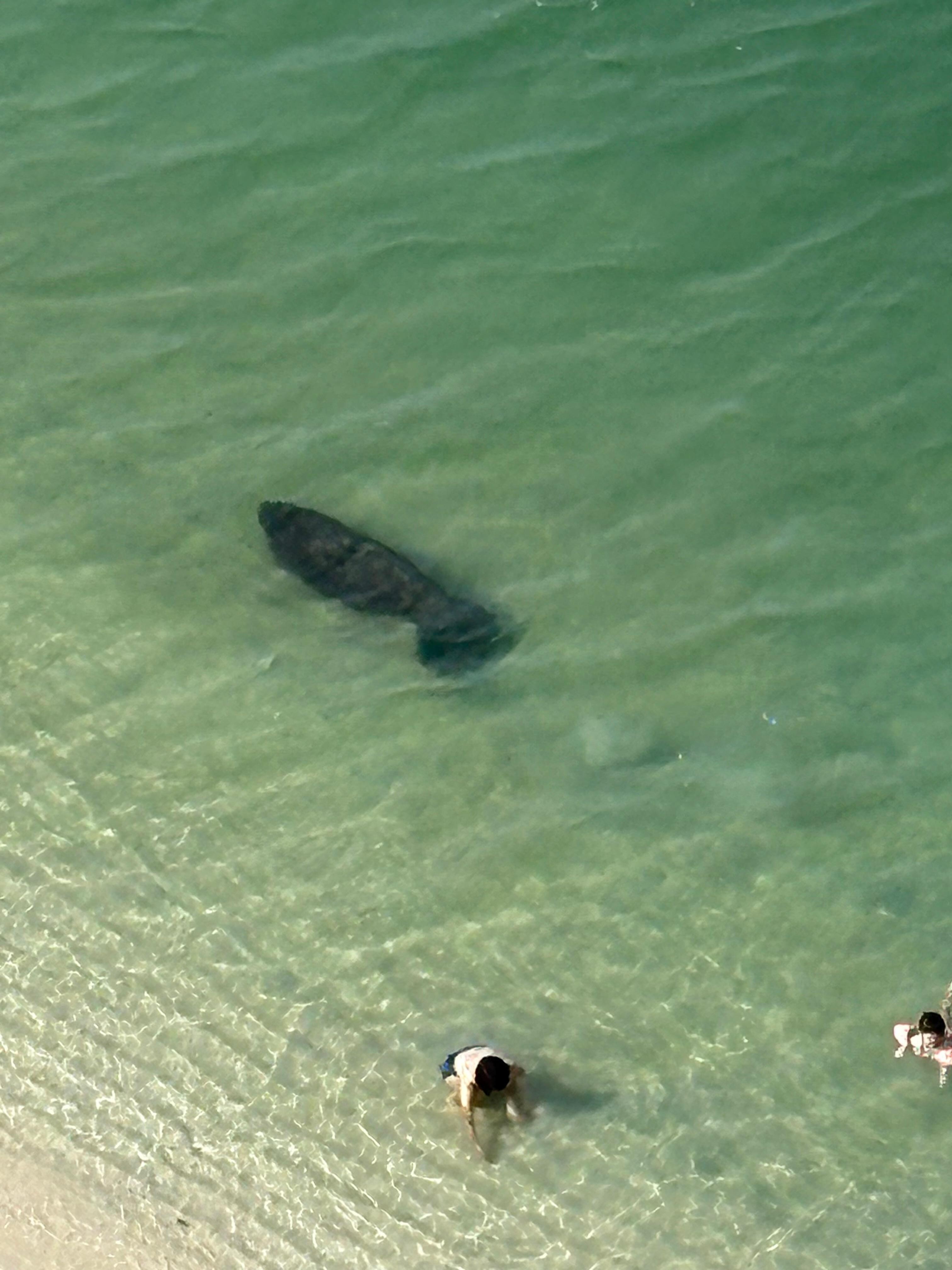 Matter in the cove.