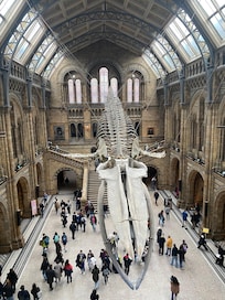 Natural History Museum is only a few minutes walk away from the hotel.