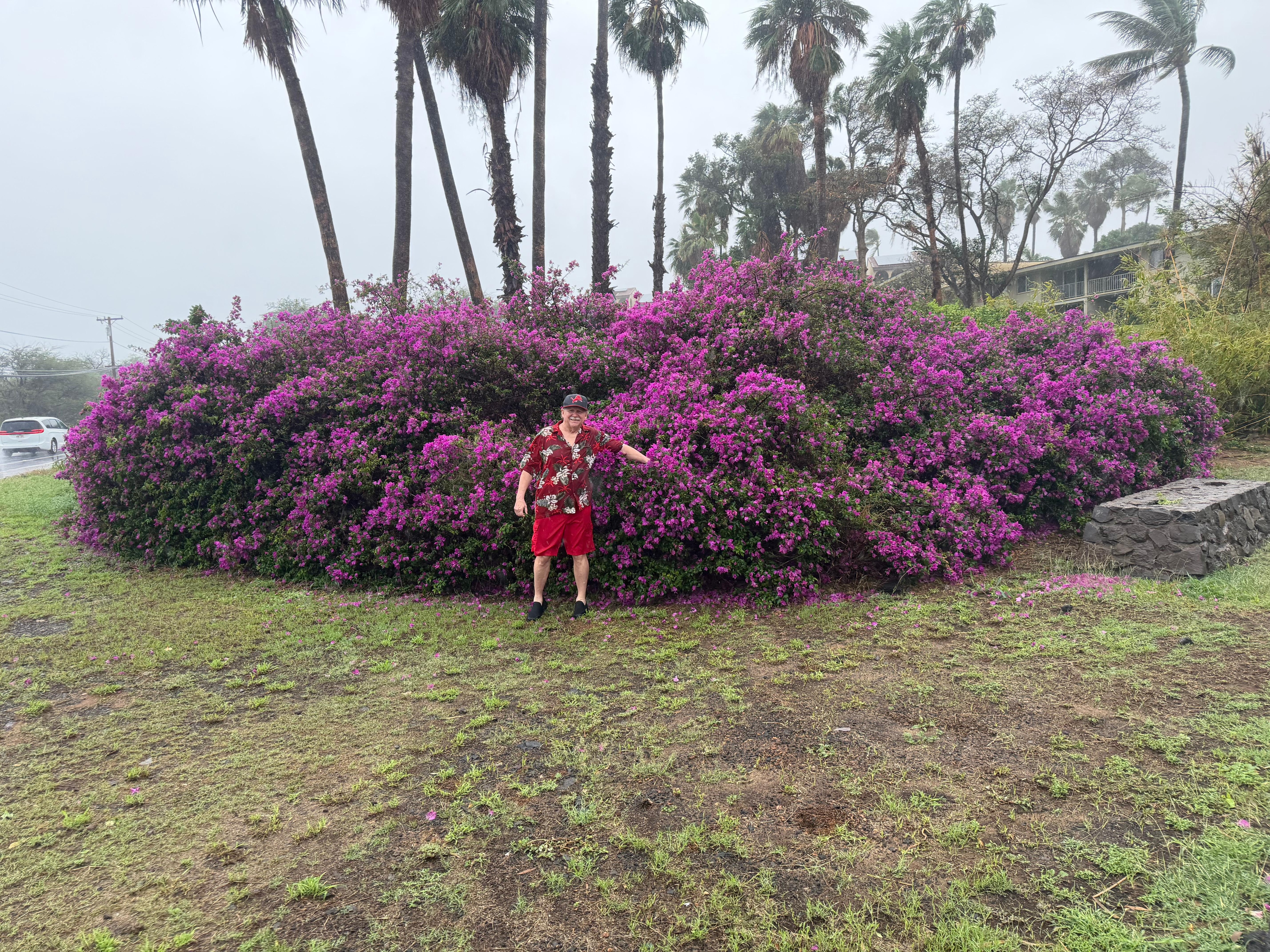 In front at the entrance to Maui Hill