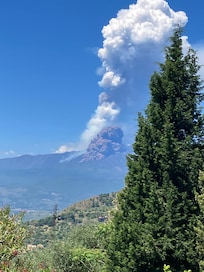 ....during breakfast, conveniently