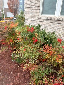 Beautiful front porch steps!