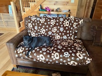 Millie approved vacation spot.