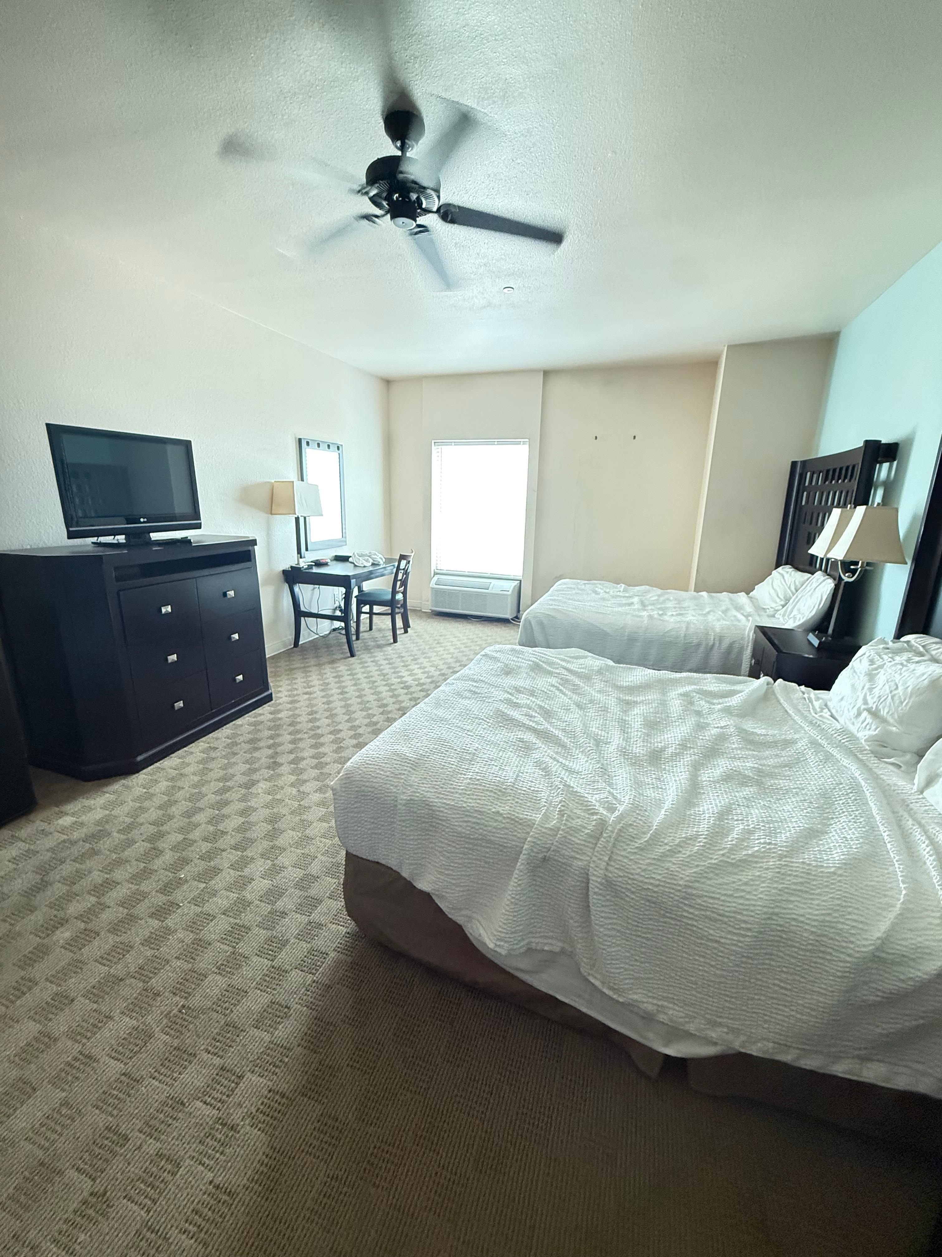 Two beds and also had a pull out couch (not pictured)