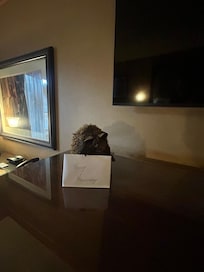 The personal note and surprise dipped strawberries were such thoughtful touches.