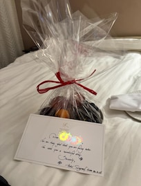 So grateful to Hotel Telegraaf staff for taking care of me.