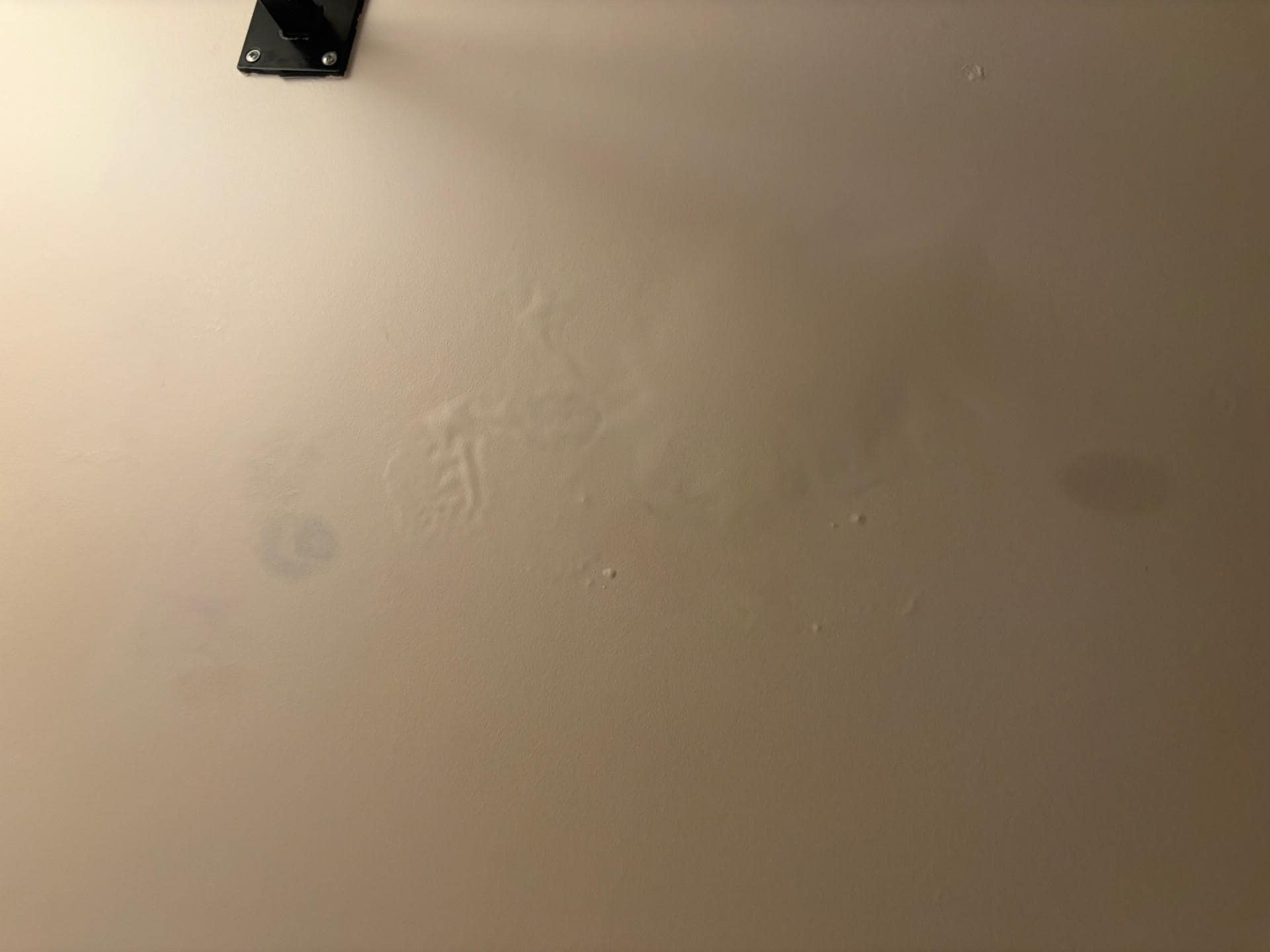 mold in the ceiling; painted over