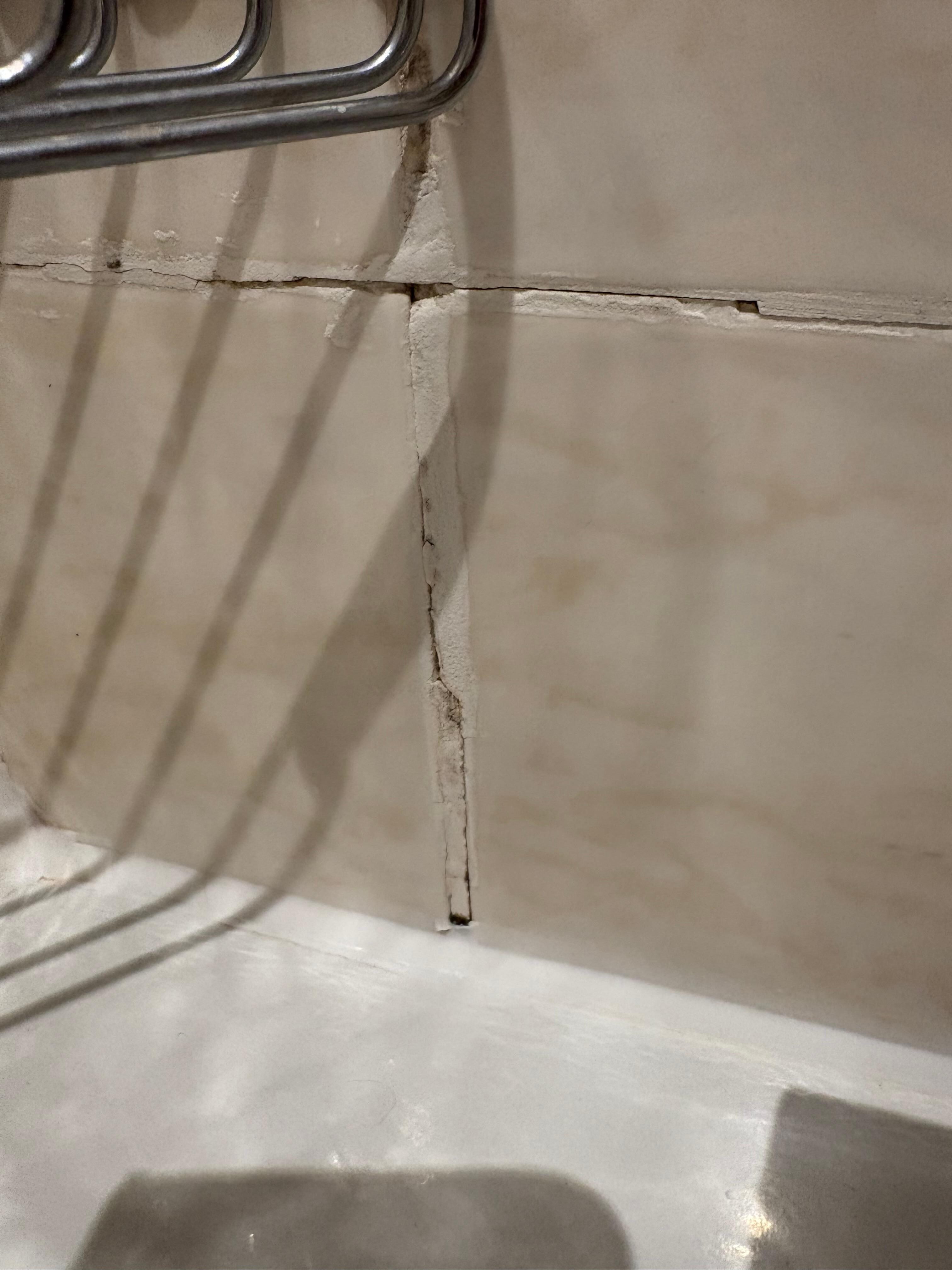 Moldy tiling 