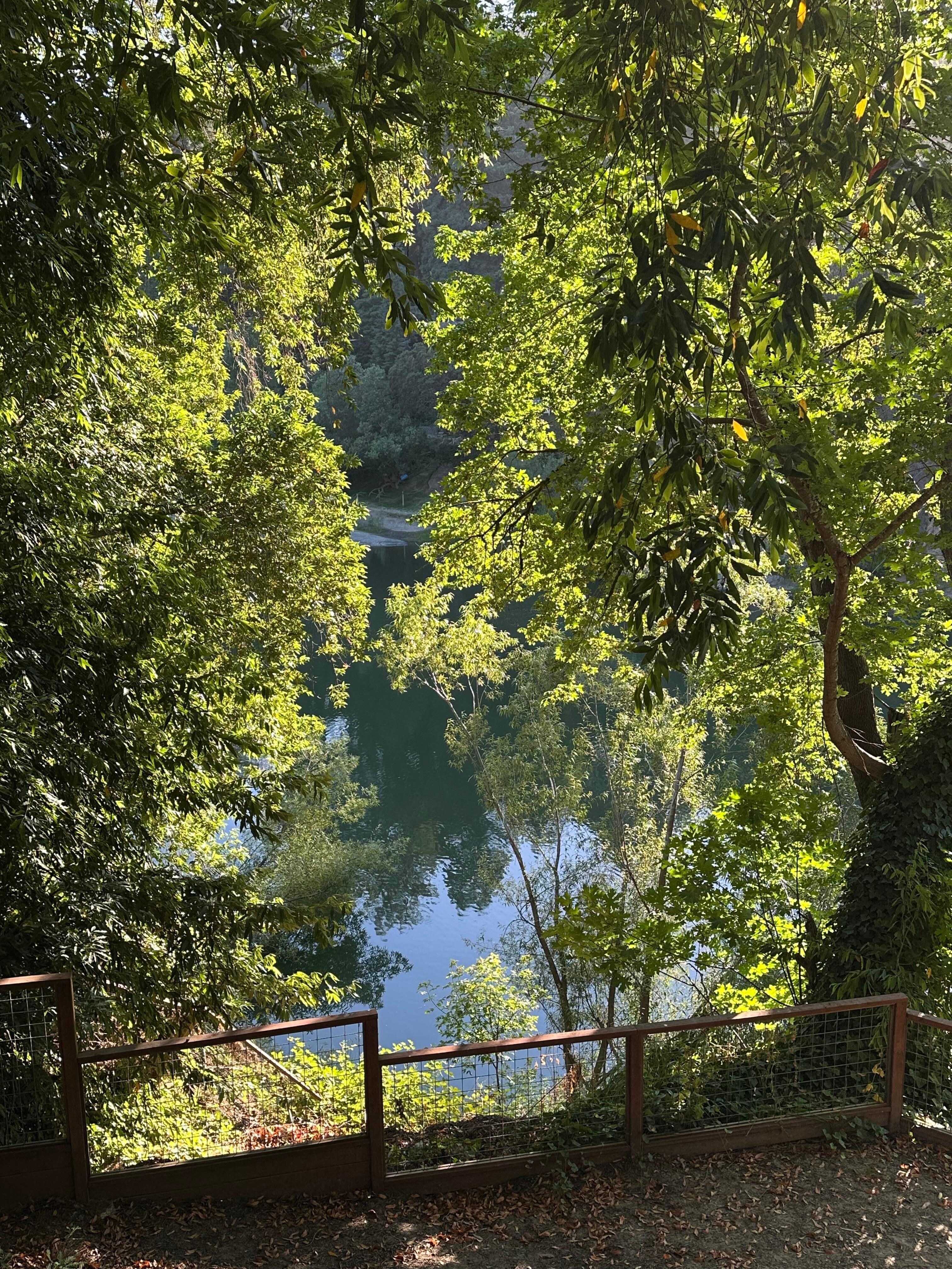 View of river is nice but obscured by trees