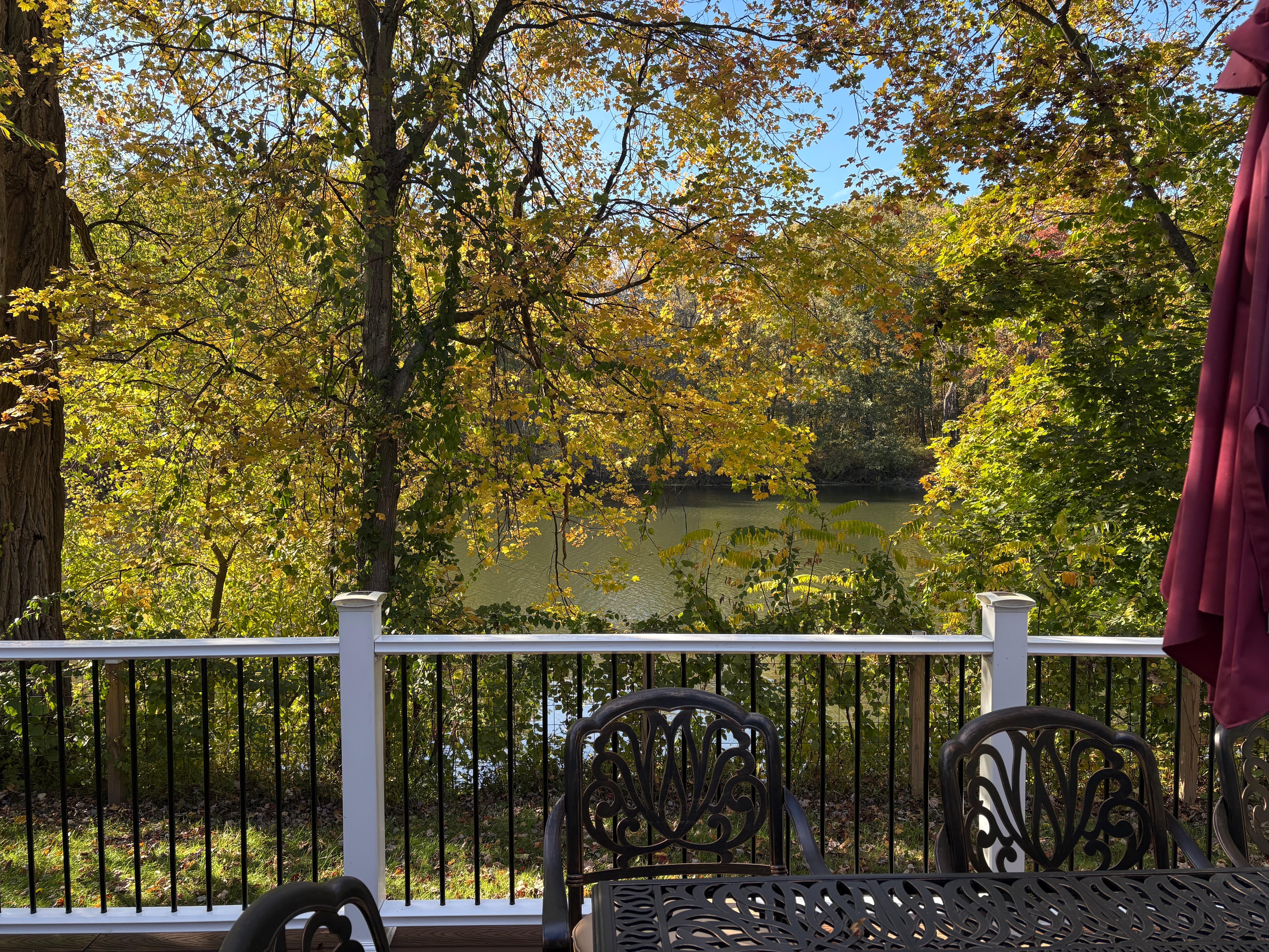 View from the back porch
