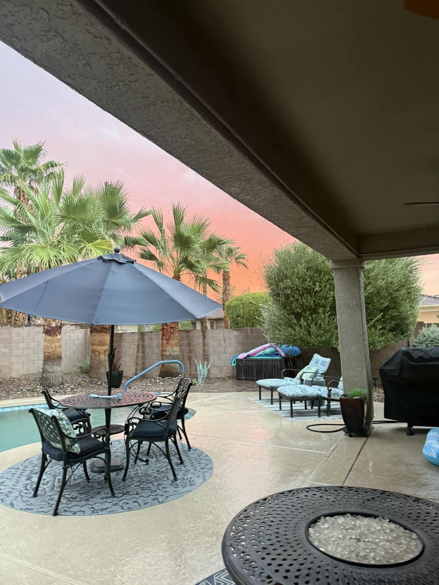 Can't get eoungh of the backyard, even in a monsoon!