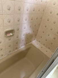 Banheiro com banheira.